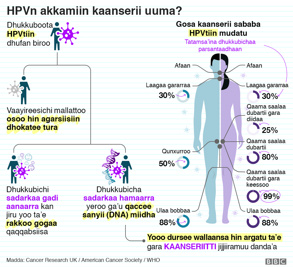 Ruwaandaan Immoo Afirikaatti Duula Farra Kaansarii Gadameessaatiin 